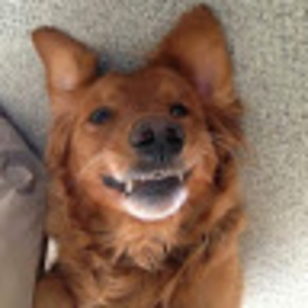 Meet your Posher, Matt